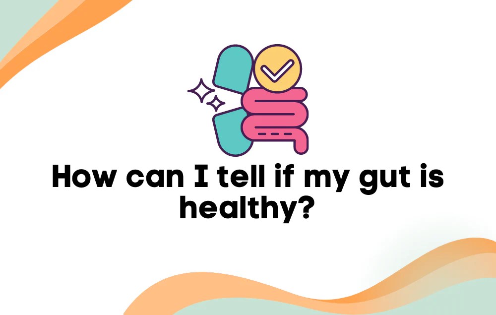 How can I tell if my gut is healthy? Layer Origin Nutrition