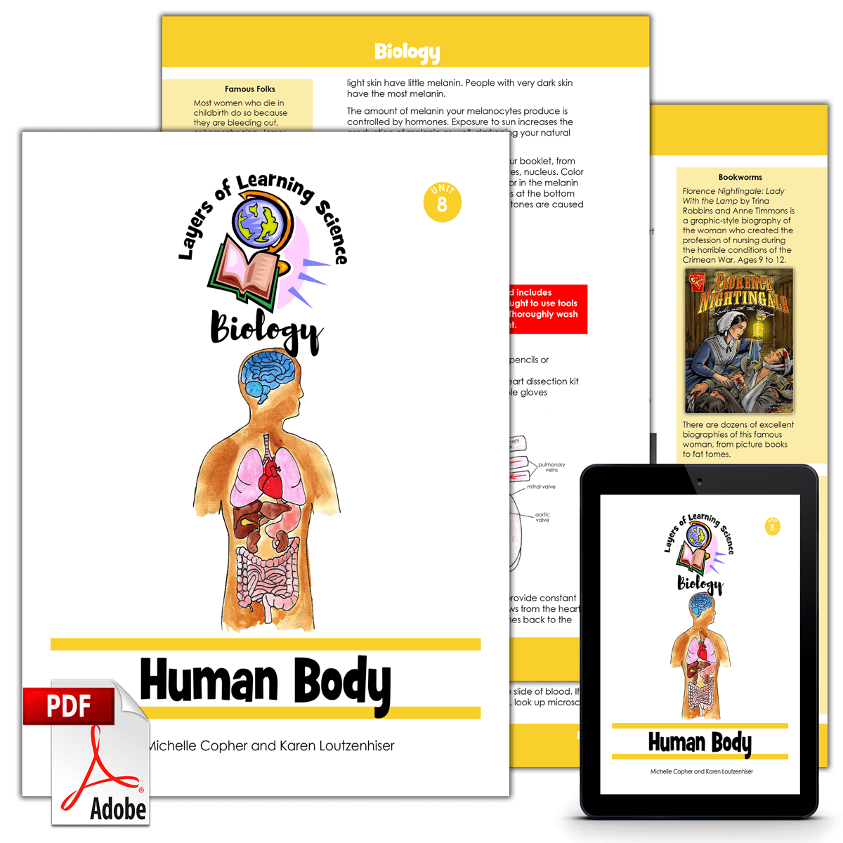 Human Body PDF Layers of Learning