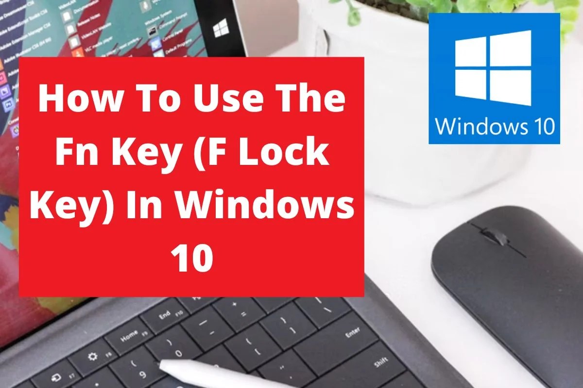 How To Use The Fn Key (F Lock Key) In Windows 10 Layman Solution