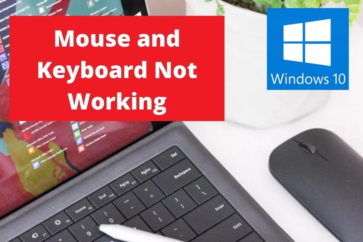 How to Fix Mouse and Keyboard Not Working in Windows 10 Layman Solution
