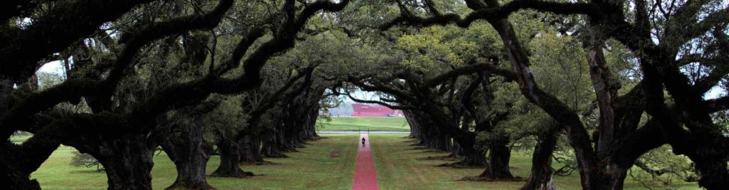 Personal Injury Parker Layrisson Law Firm