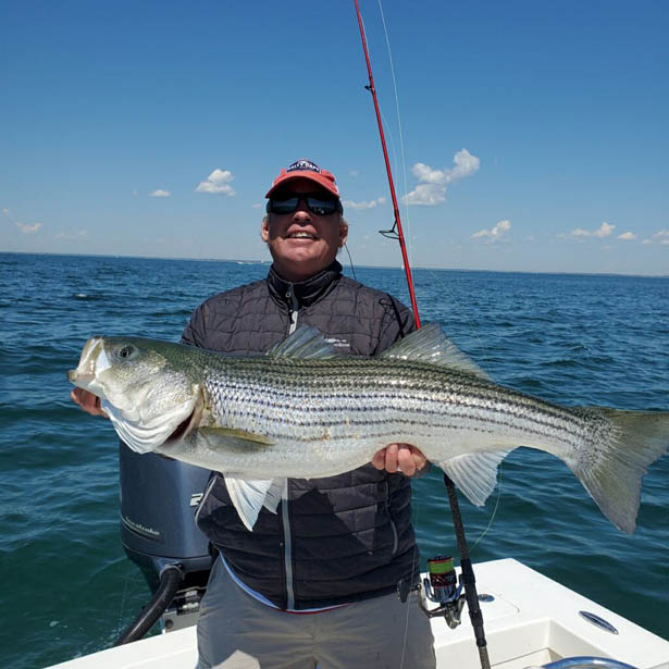 Buzzard Bay Fishing Layton Bay Layton's Boatworks