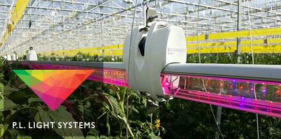 Line Card Lazar Ligthing