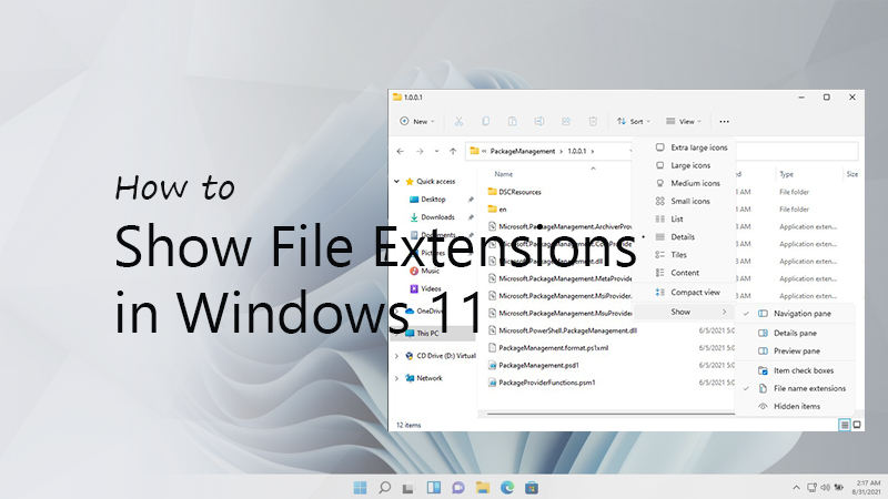 How to Show File Extension in Windows 11 — LazyAdmin