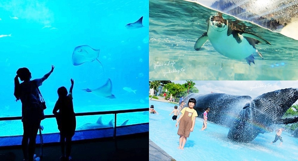 墾丁一日遊必訪！4個滿分的親子景點，放電好去處～小動物療癒互動免曬太陽