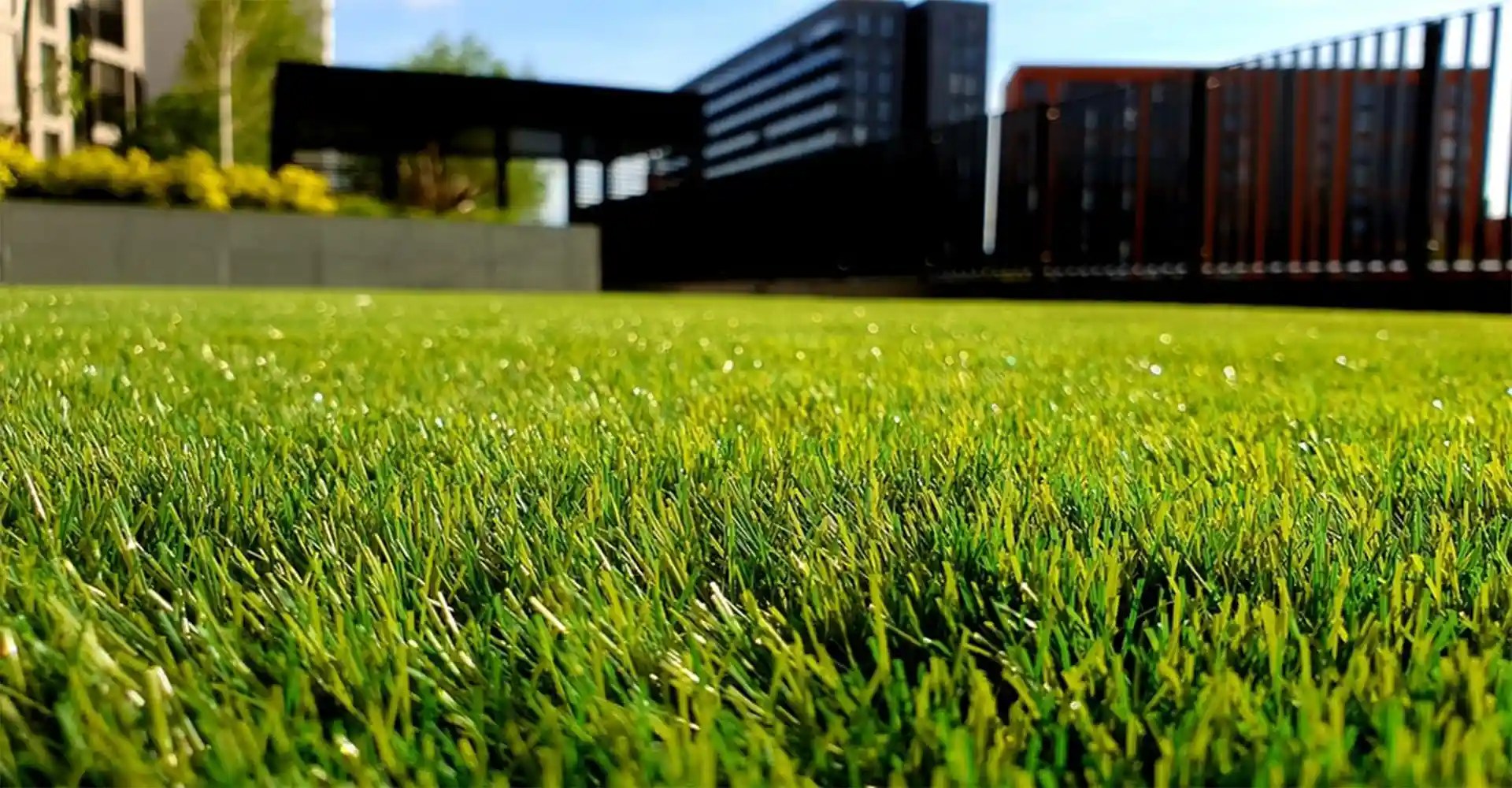 Benefits of an Artificial Turf Lawn Lazy Lawn