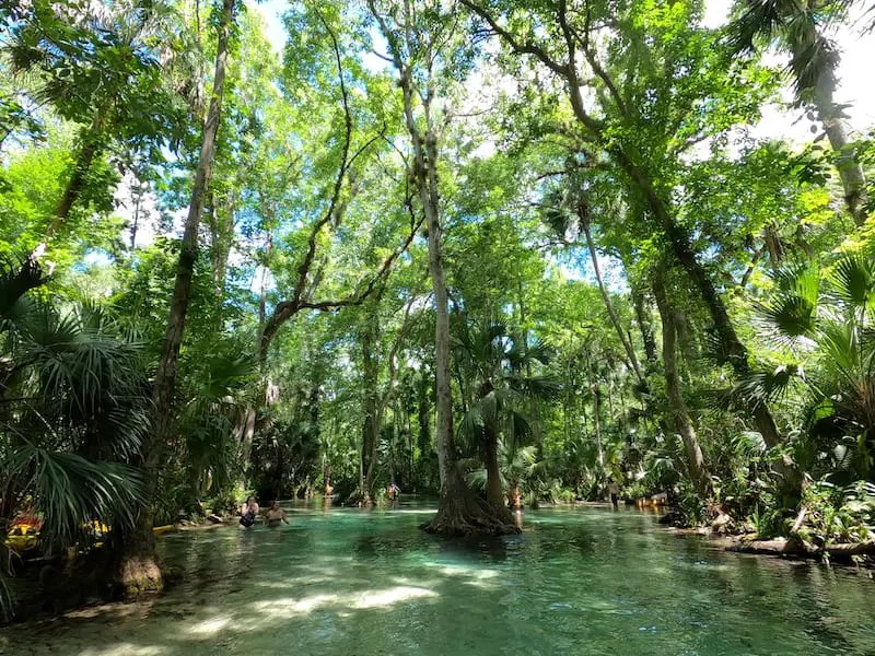 Kings Landing Lazy Locations Florida