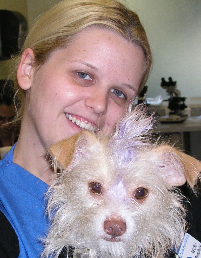 P1012017 Long Beach Animal Hospital