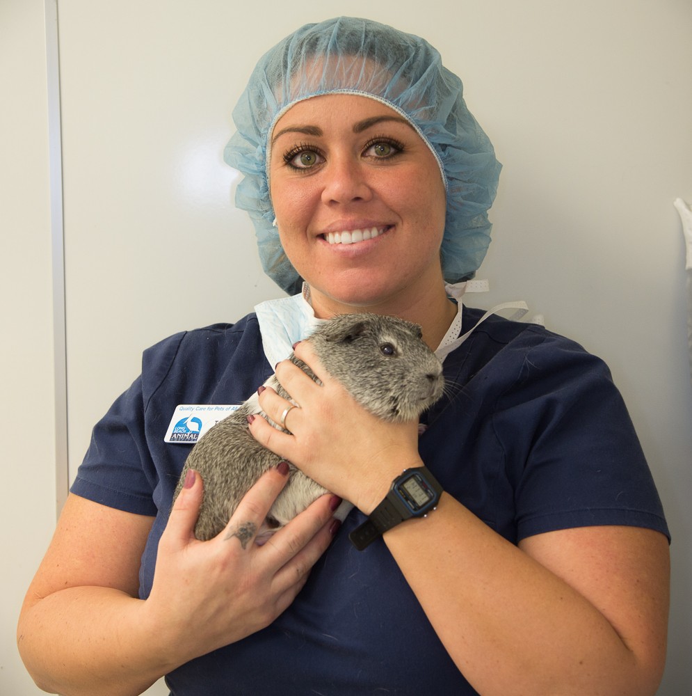 Long Beach Animal Hospital and Emergency Veterinarian Long Beach