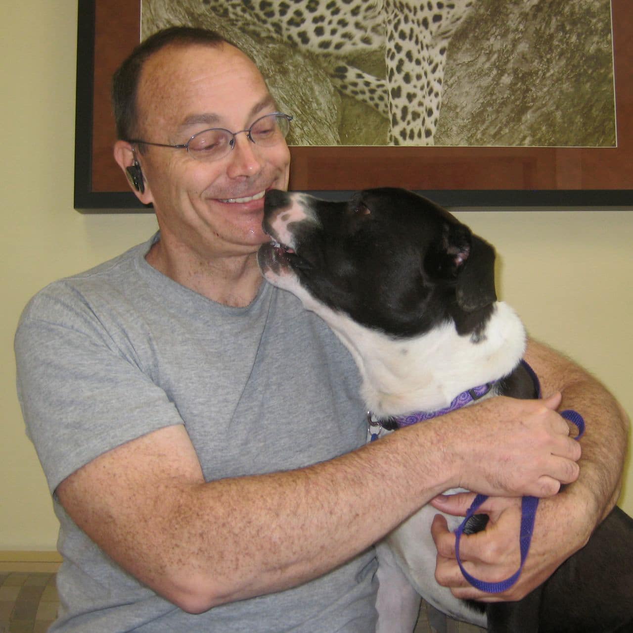 Long Beach Animal Hospital Animal Emergency Long Beach Cats & Dogs
