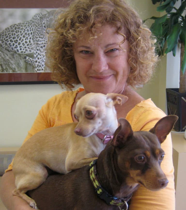 Long Beach Animal Hospital Animal Emergency Long Beach Cats & Dogs