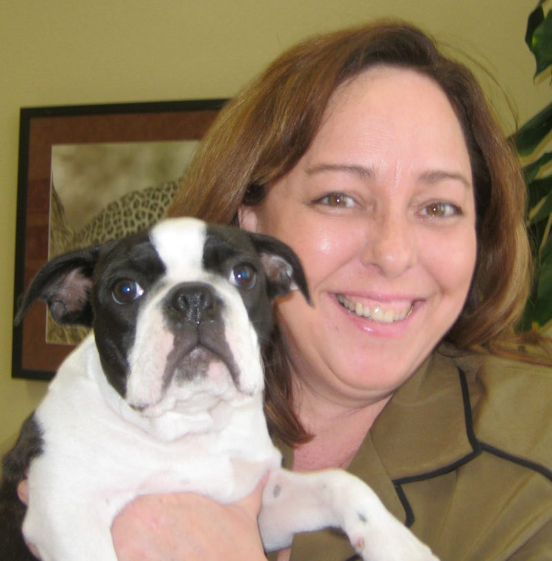 Long Beach Animal Hospital Animal Emergency Long Beach Cats & Dogs