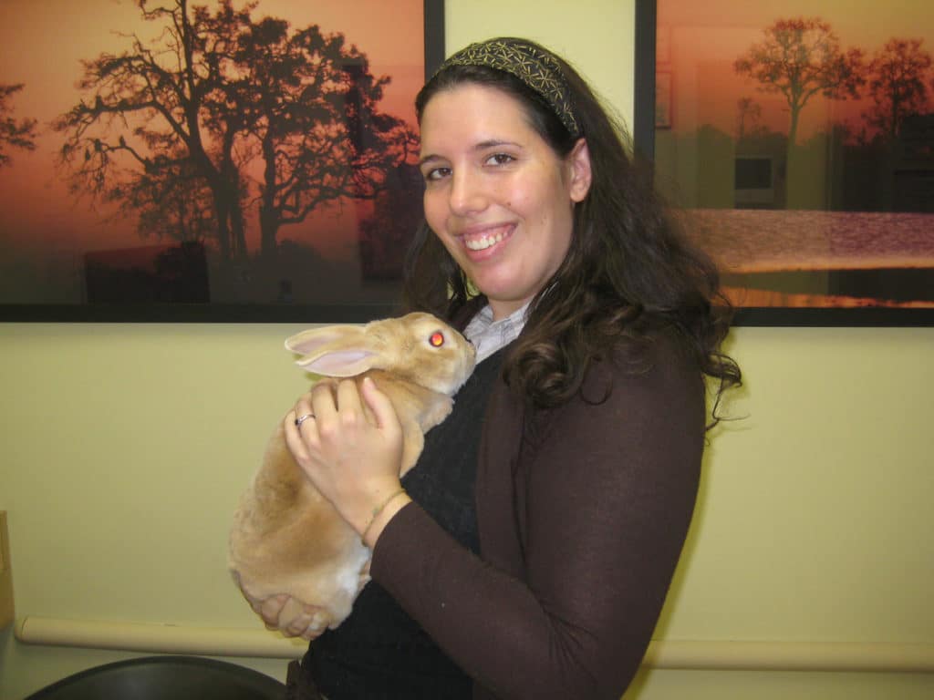 Long Beach Animal Hospital Animal Emergency Long Beach Cats & Dogs