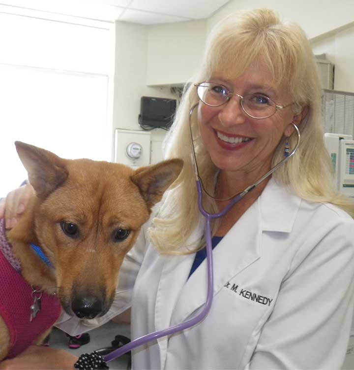 meredithstethoscope Long Beach Animal Hospital