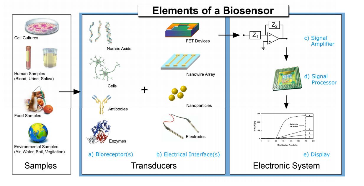Biosensors Laboratory of Biosensors and Bioelectronics