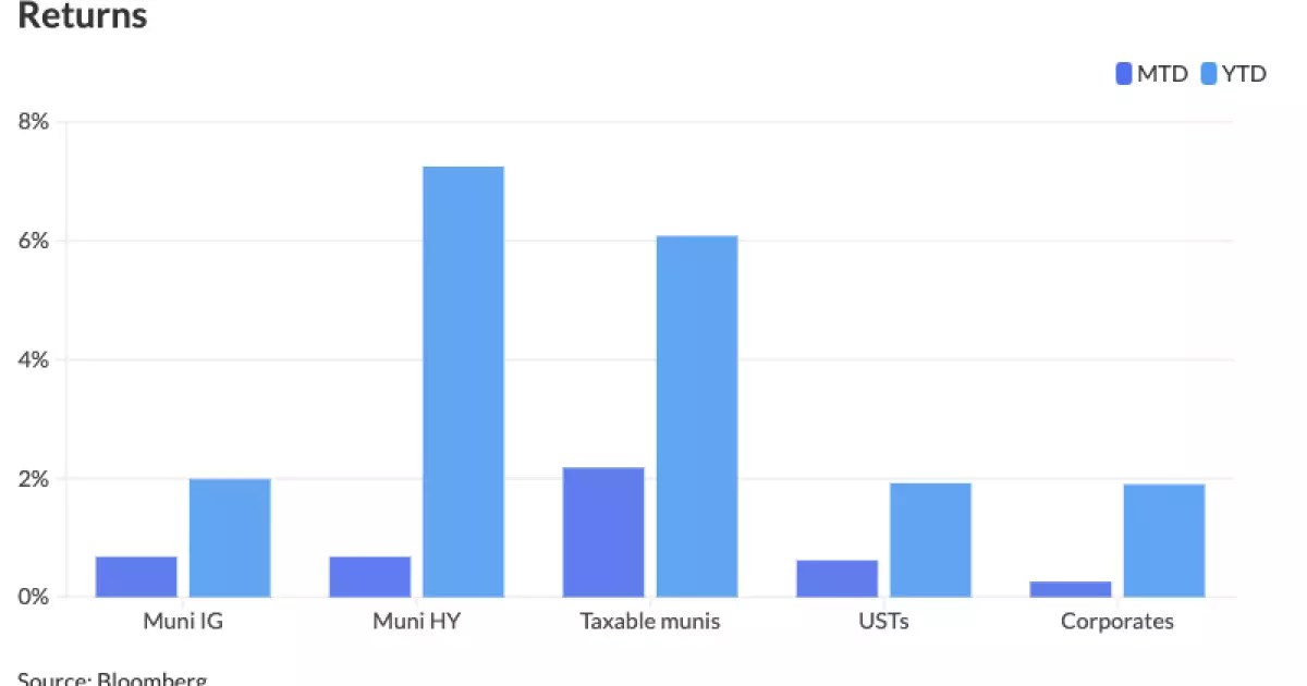 Municipal Bonds in a Changing Economic Landscape