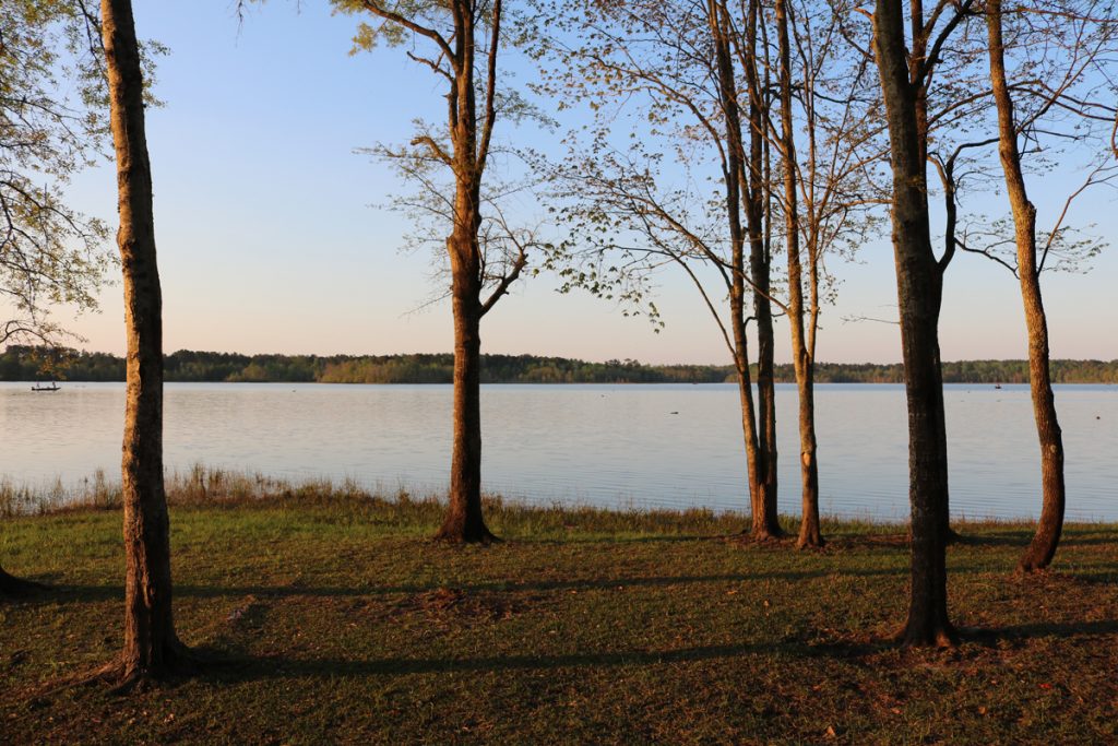 Photos Little Black Creek