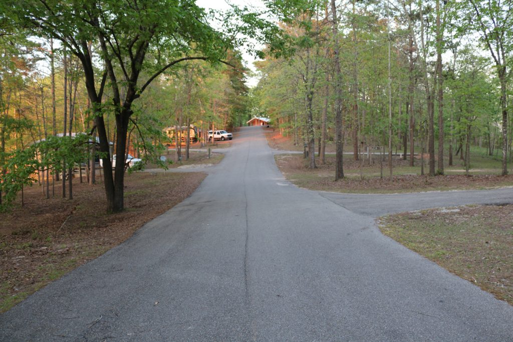 Photos Little Black Creek