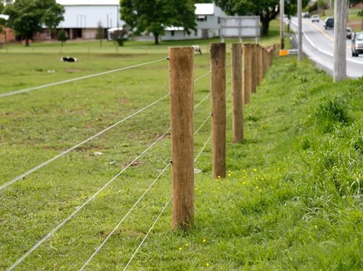 LB Fencing High Tensile Fencing