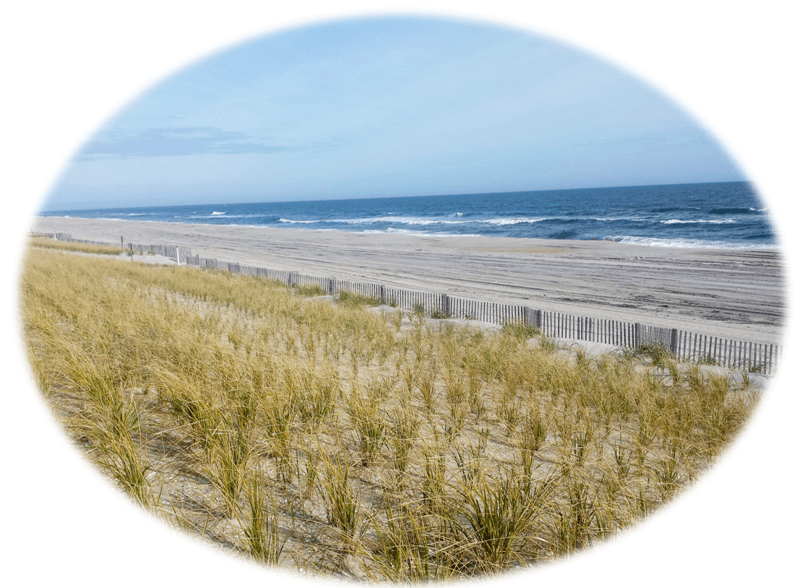Deidre Martin LBI NJ Real Estate Long Beach Island New Jersey