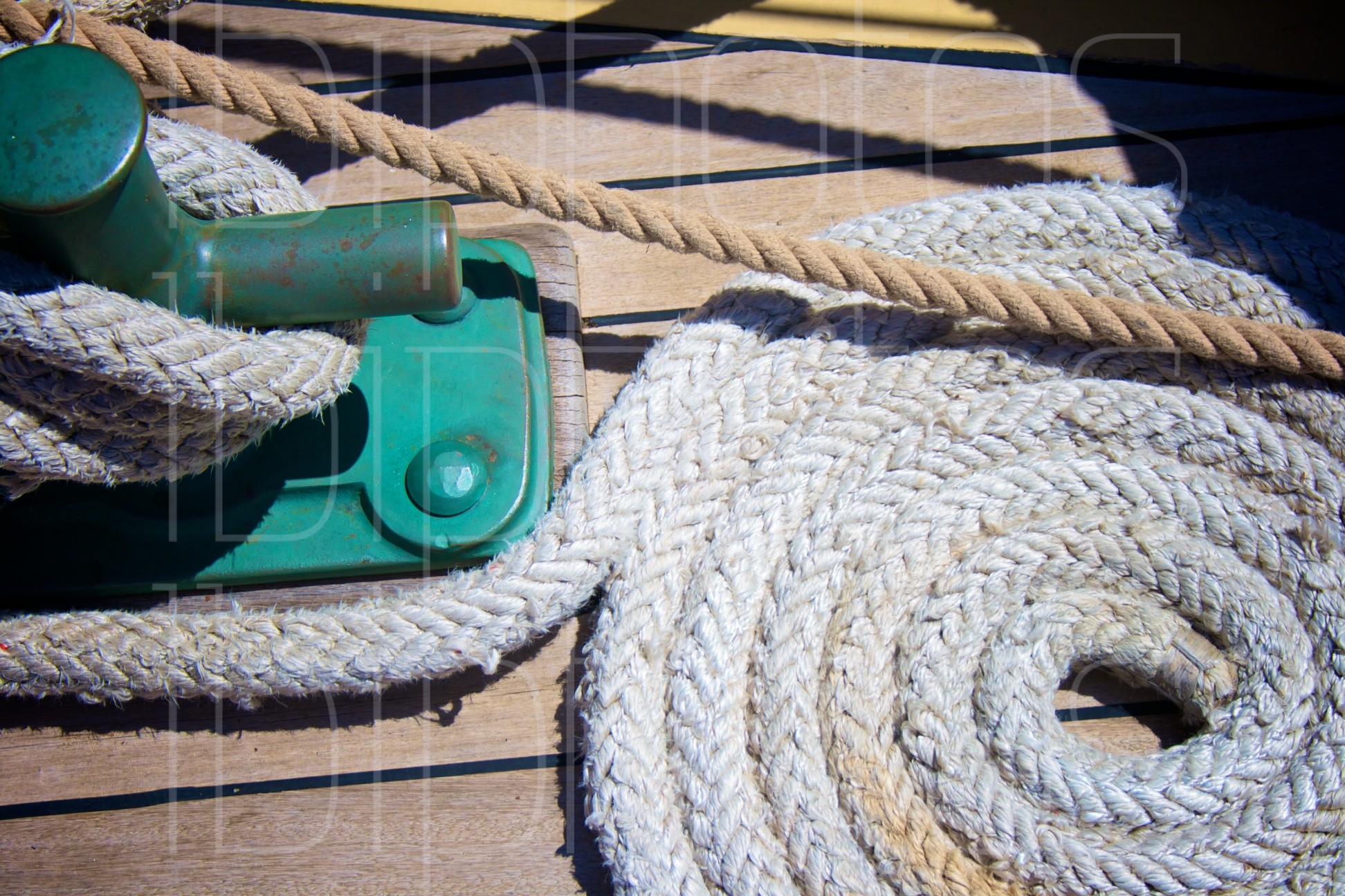 Rope Deck 1 LBI Photos Long Beach Island Photos, LBI Photographs
