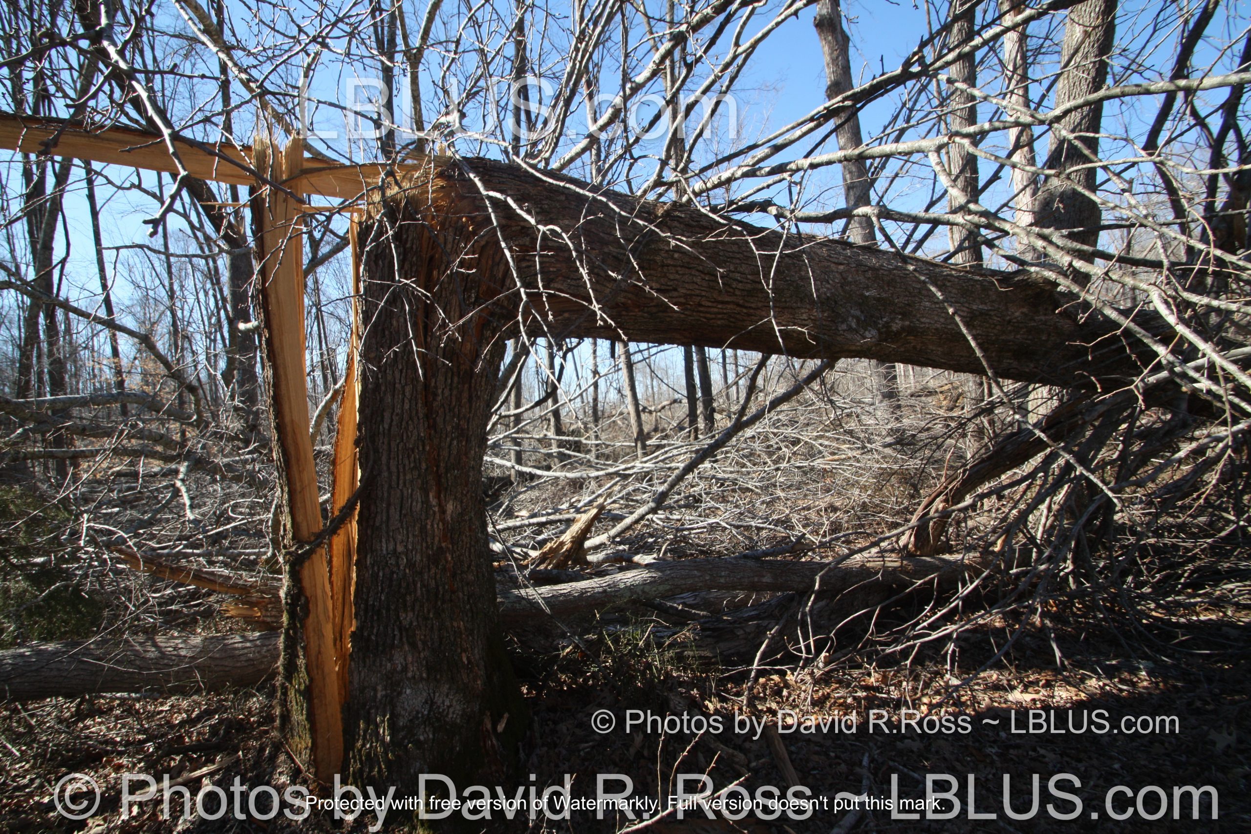 LBL Featured Project PostTornado Recovery Efforts Land Between