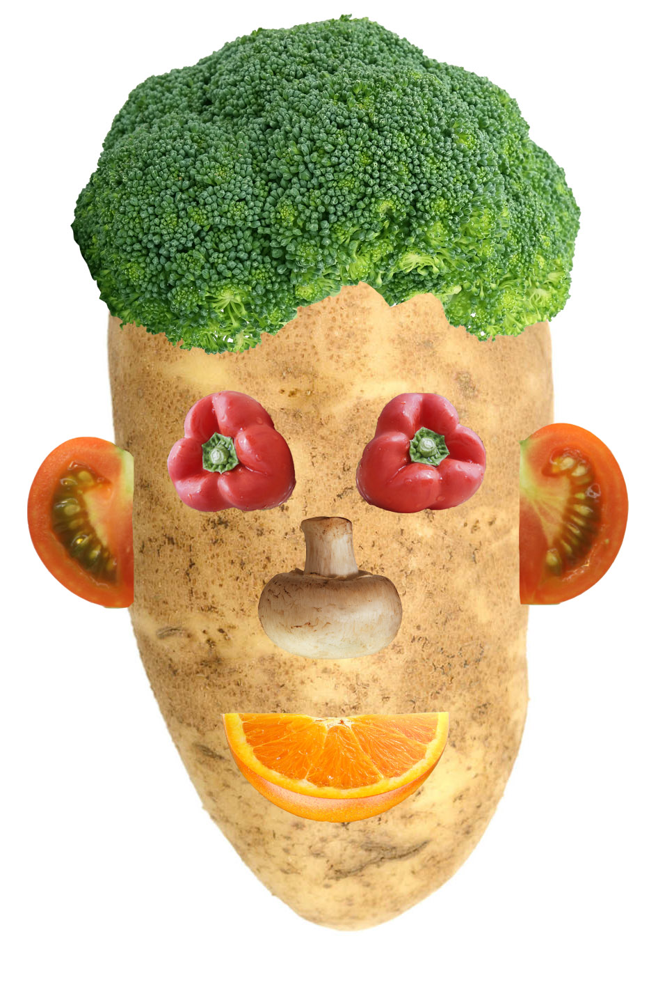Project Mister Vegetable Head LBMS Media Lab