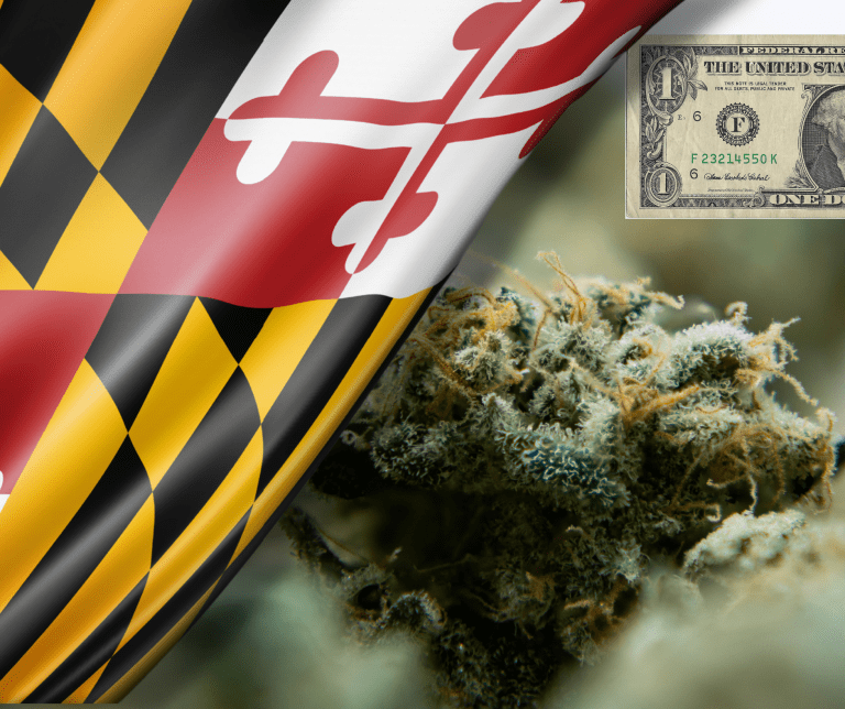 Reparations for the war on drugs in Maryland Leaders of a Beautiful