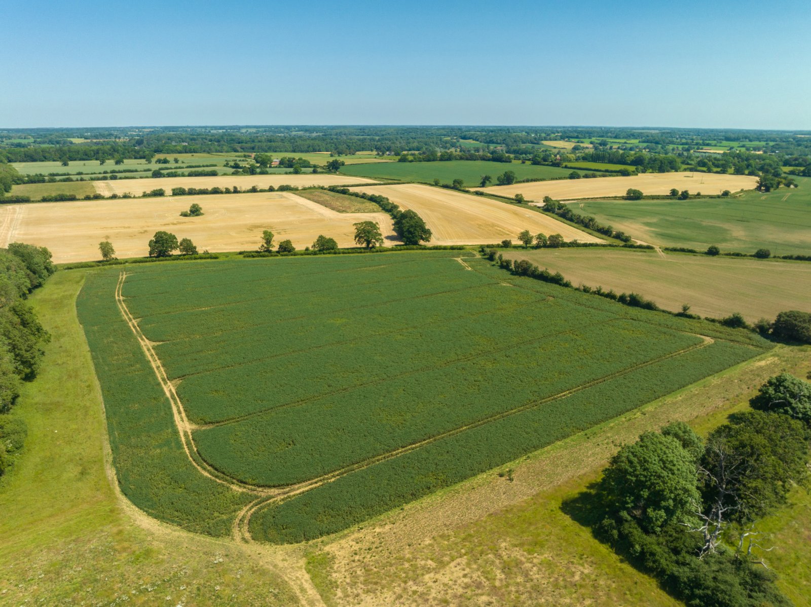 Photos of Little Glemham, Woodbridge IP13 66755054 PrimeLocation