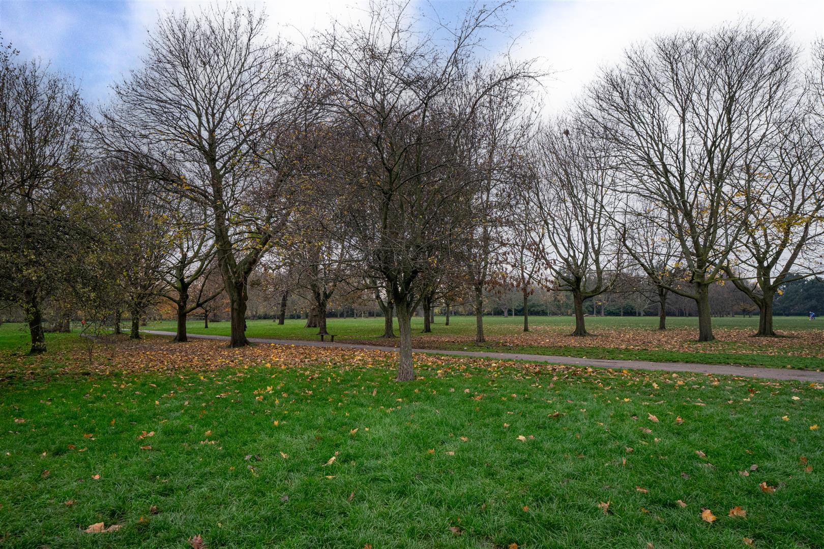 Photos of Harley House, Marylebone NW1 65657958 PrimeLocation