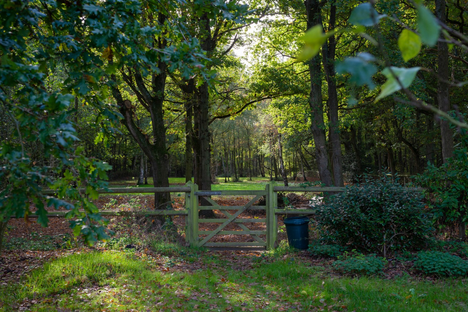 Photos of Bromley Green Road, Ruckinge, Ashford TN26 63188353