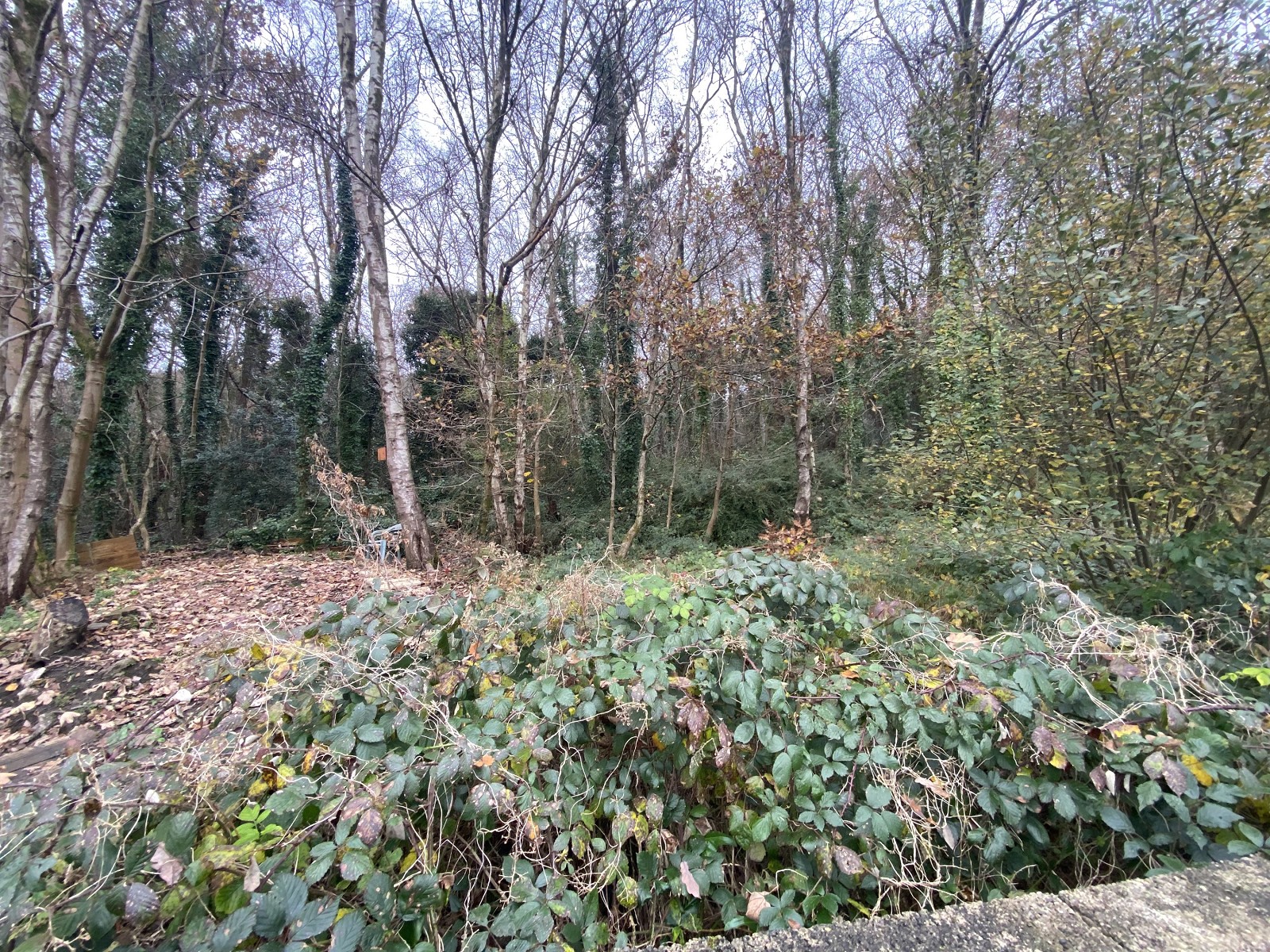 Photos of Kingrosia Park, Clydach, Swansea, City And County Of Swansea