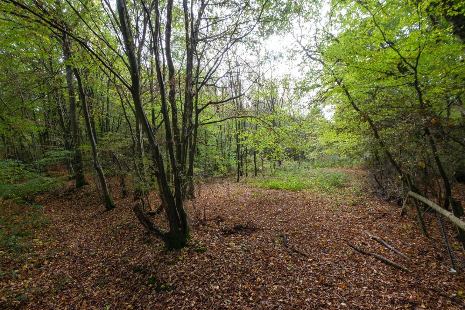 Photos of Bromley Green Road, Ruckinge, Ashford TN26 63188353