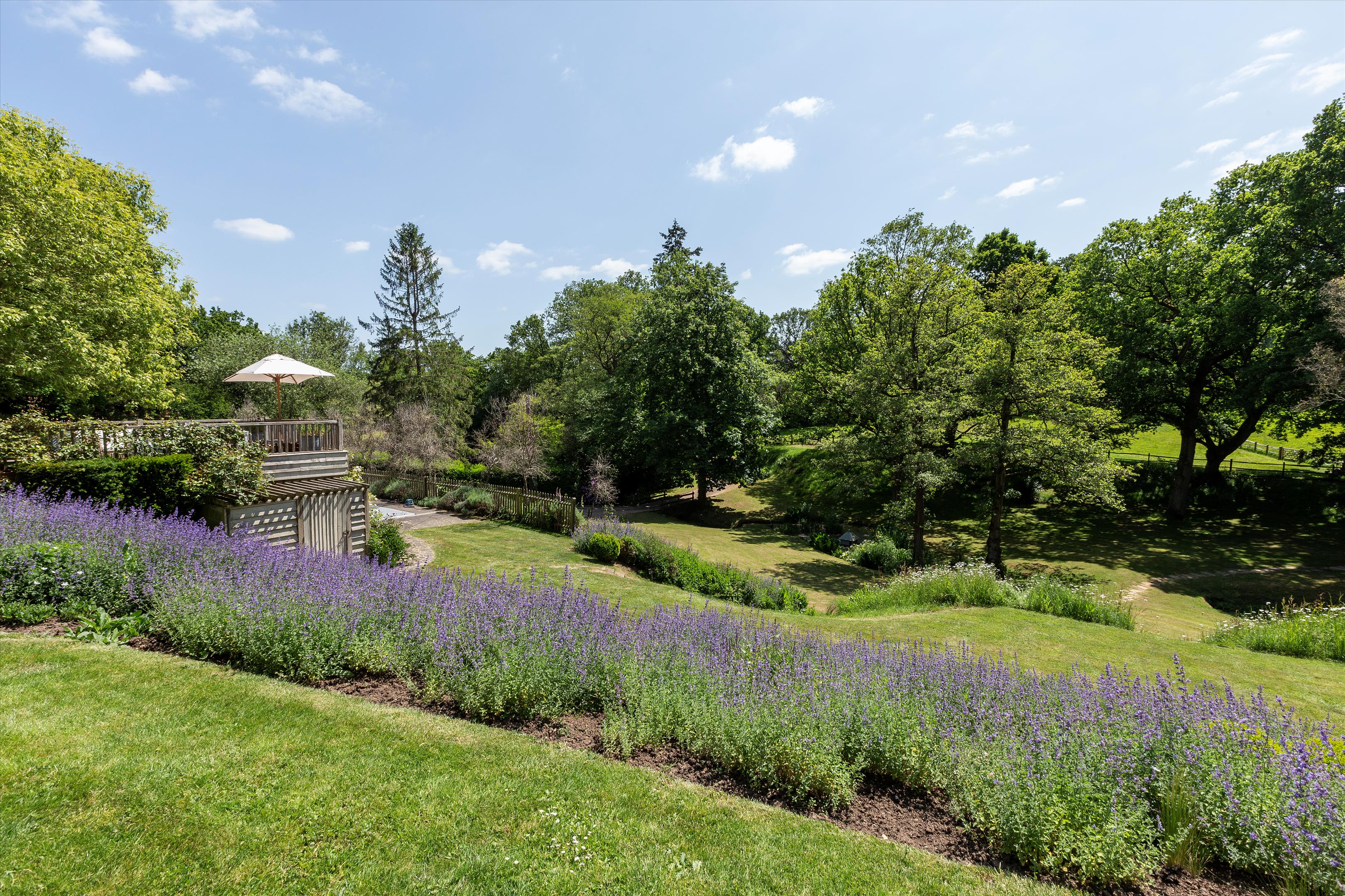 Photos of Mill Lane, Chiddingfold, Godalming, Surrey GU8. 64945271