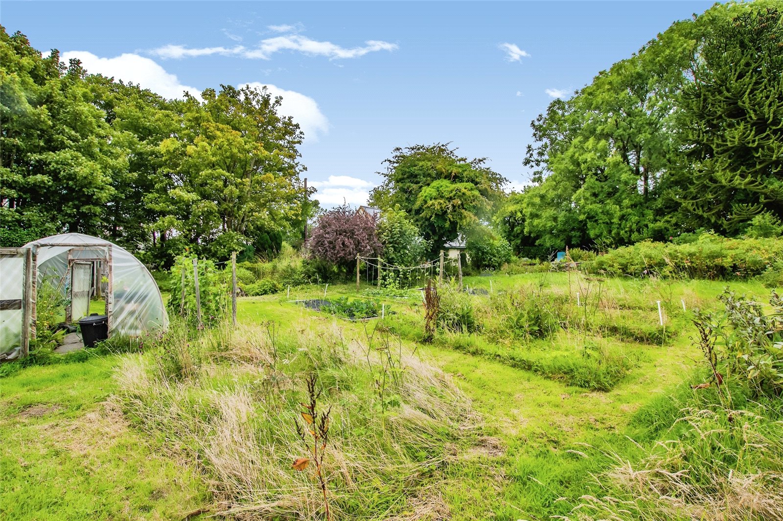 Photos of Trefenter, Aberystwyth, Ceredigion SY23 65440920