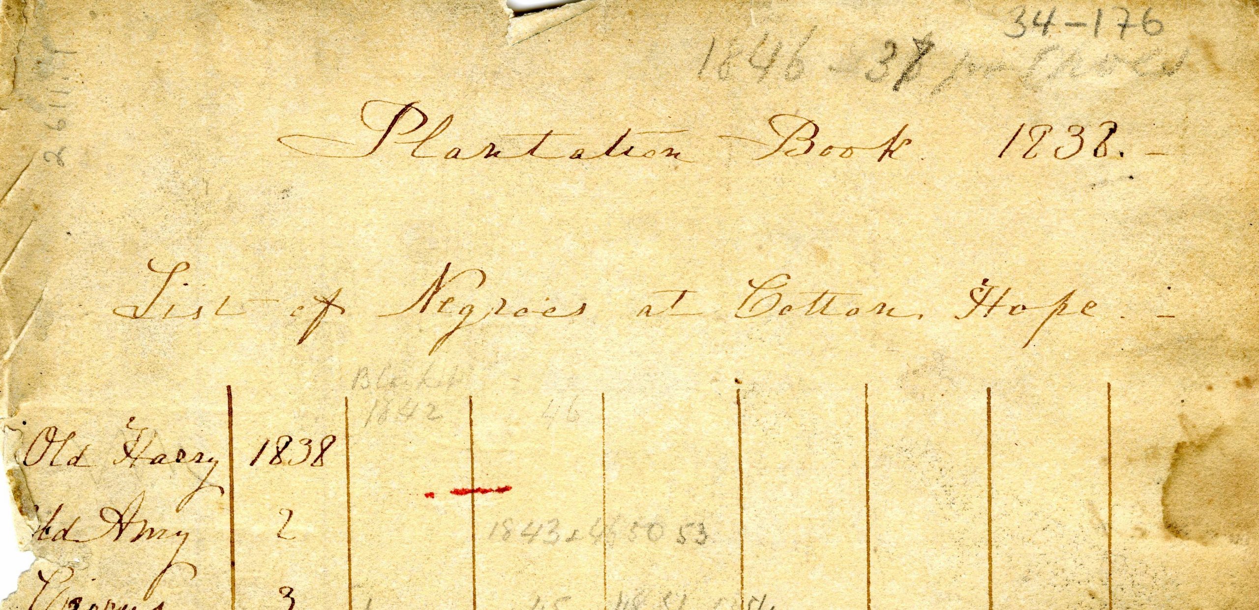 Journal of Robert Barnwell Plantations, 1838 1859 Lowcountry