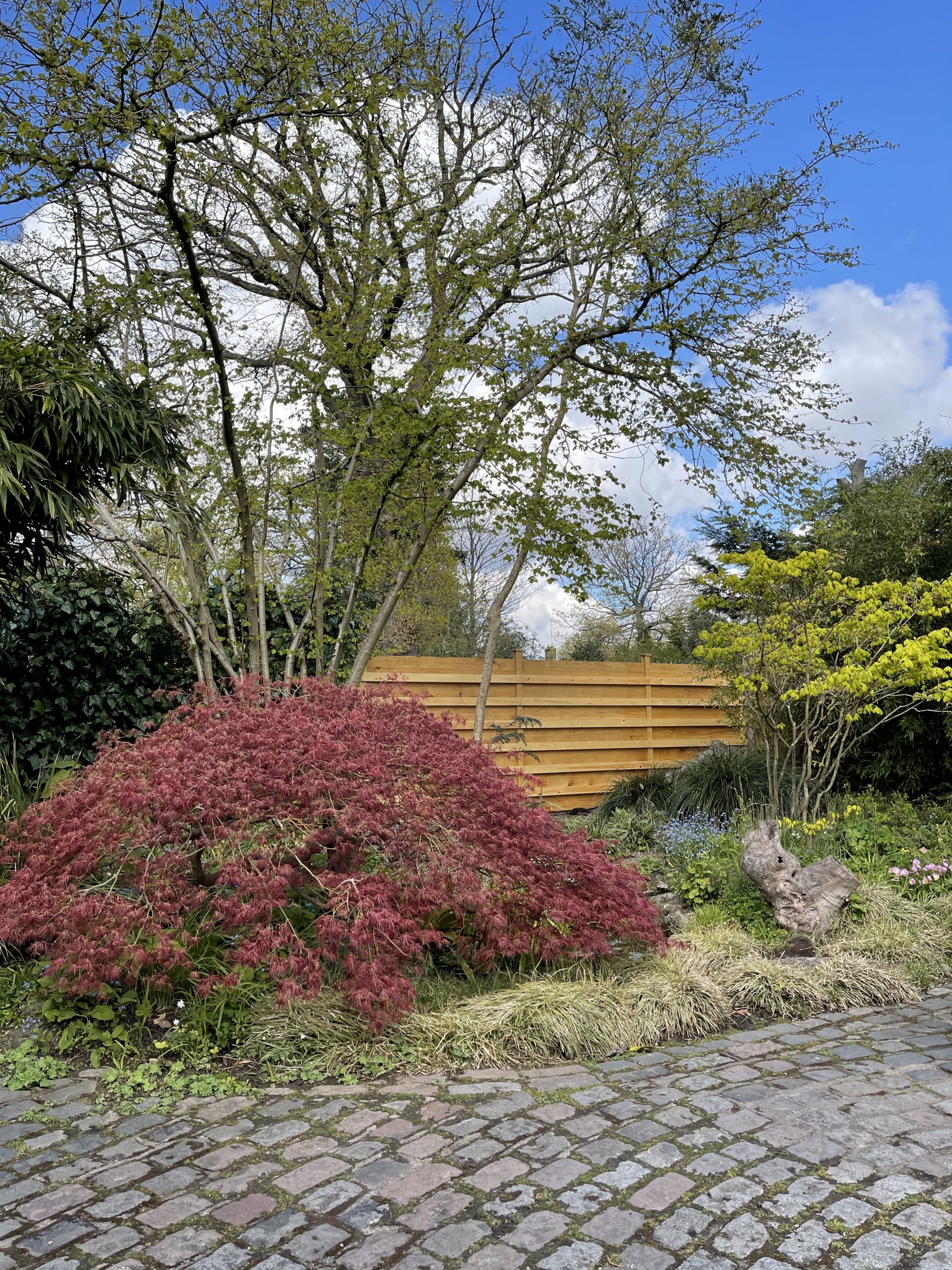 SHELDON HOUSE Film, TV, Photoshoot LC Locations