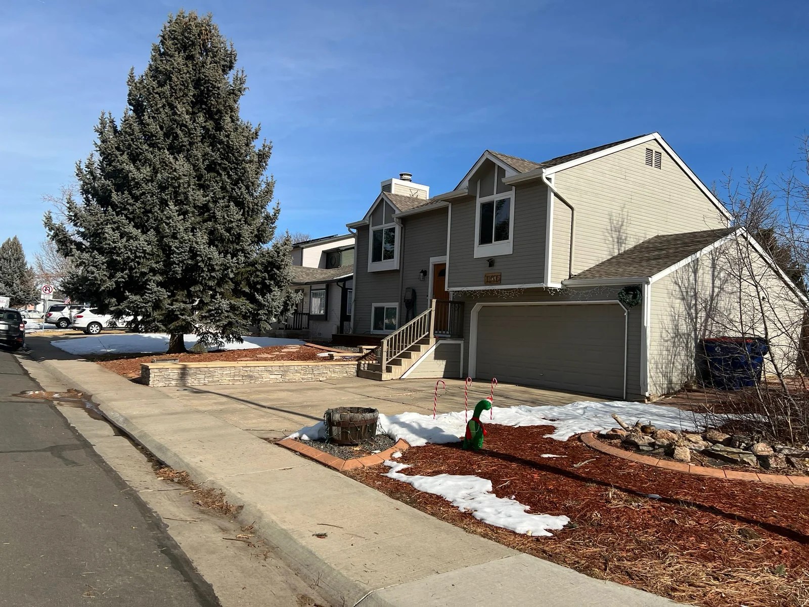 Gallery Tree Services in Denver CO, Tree Pruning in Denver CO, Bush