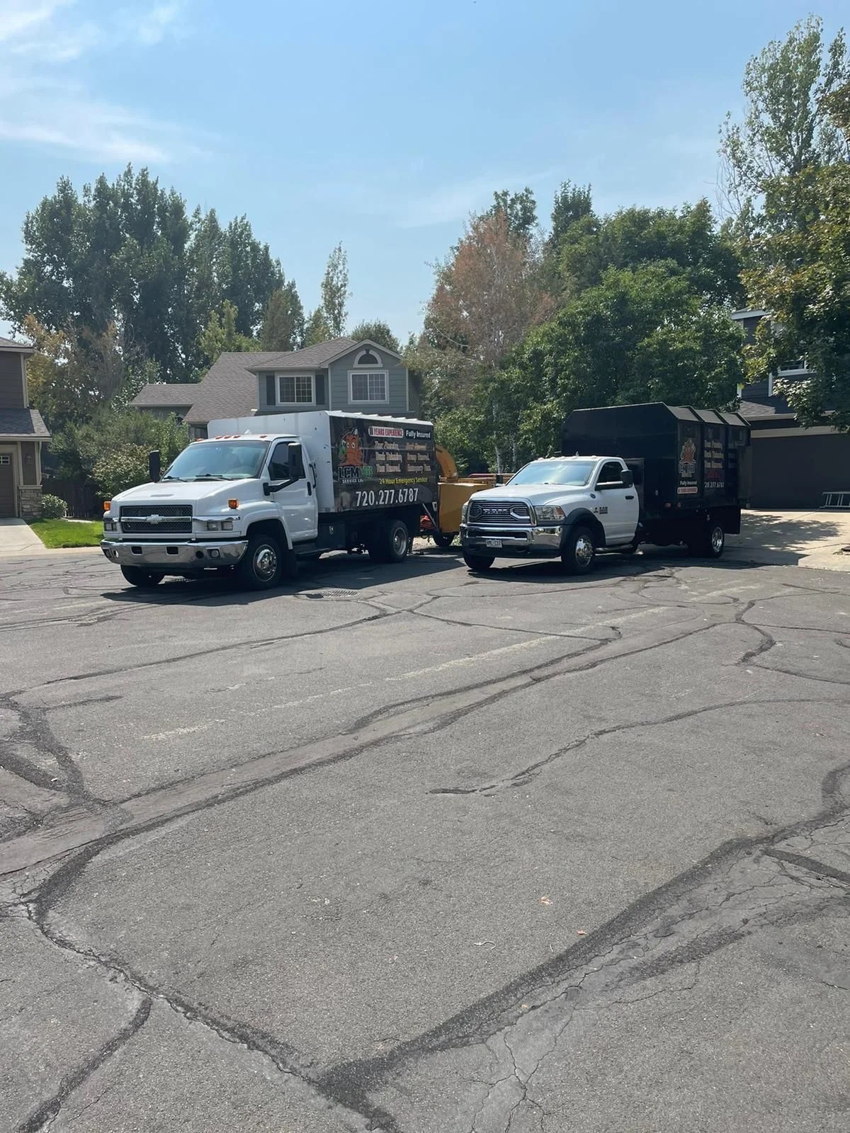 Gallery Tree Services in Denver CO, Tree Pruning in Denver CO, Bush