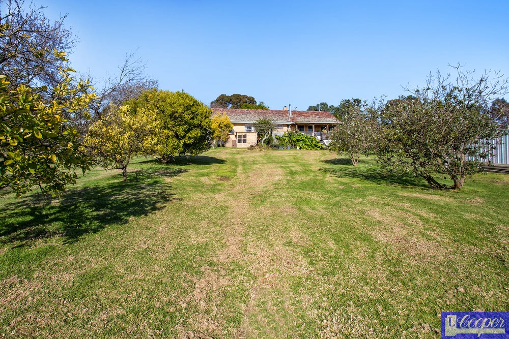 image (8) LCooper Real Estate Somerville