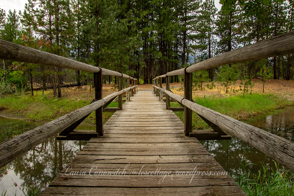 Kettle Falls Natural Recreation Area Part 1 LC's Cottage