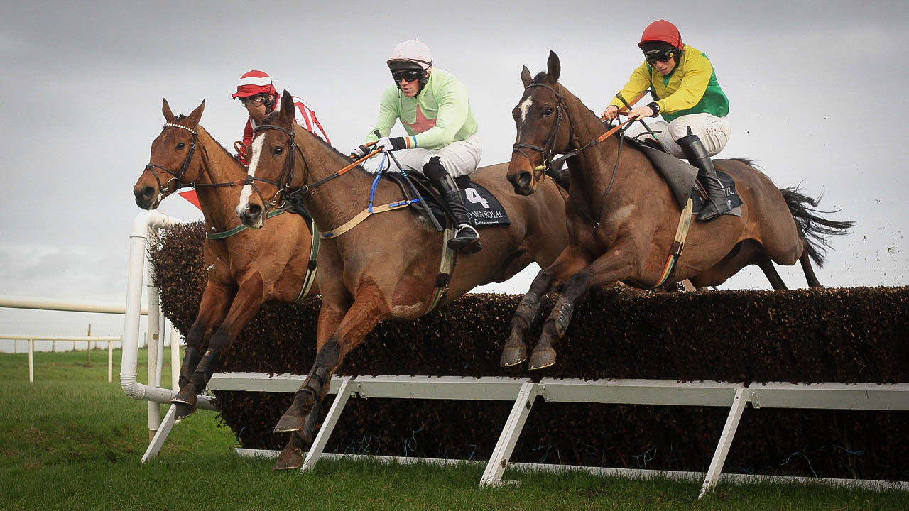 Horse Racing Ireland Ploughing Championships LD2