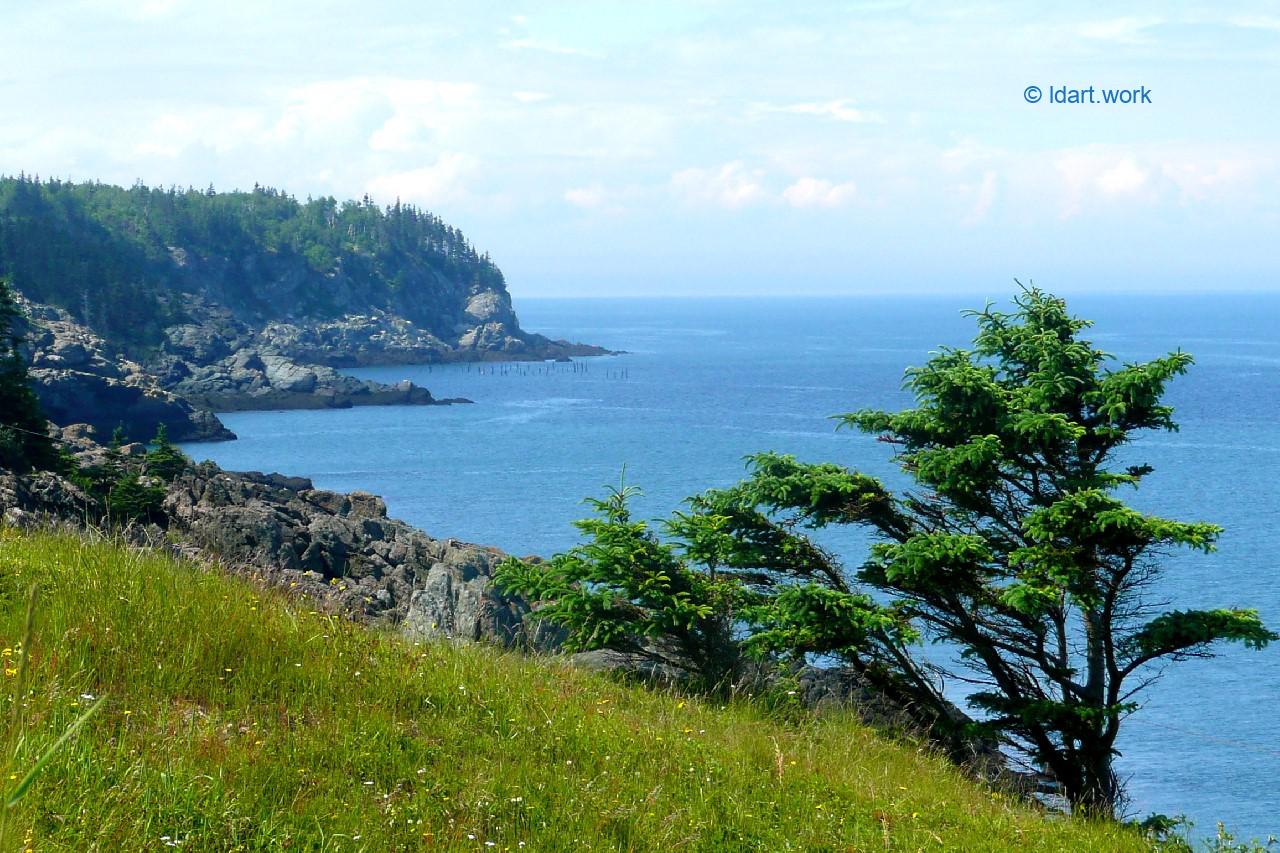 55 Photos From Grand Manan 55 Photos De Grand Manan