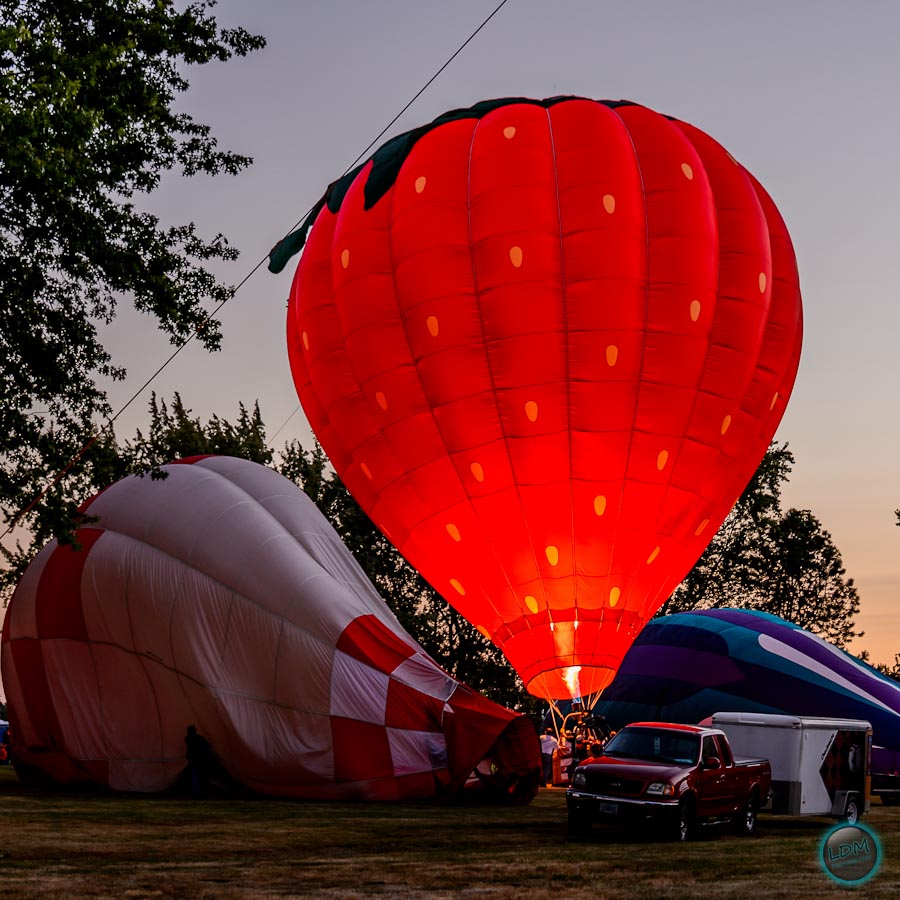 Art And Air Festival Albany 2022 - En.AsriPortal.com