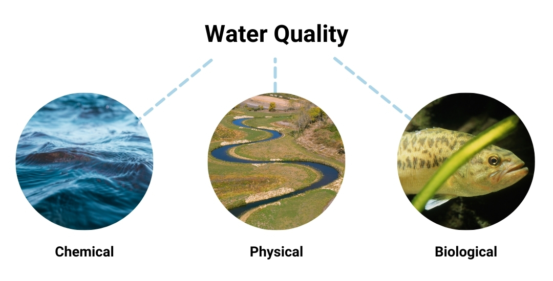 What is Water Quality ? LDP Watersheds