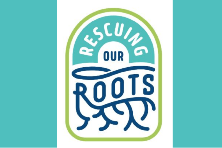 Help Break the Guinness World Record for Most Headstone Photos LDS365