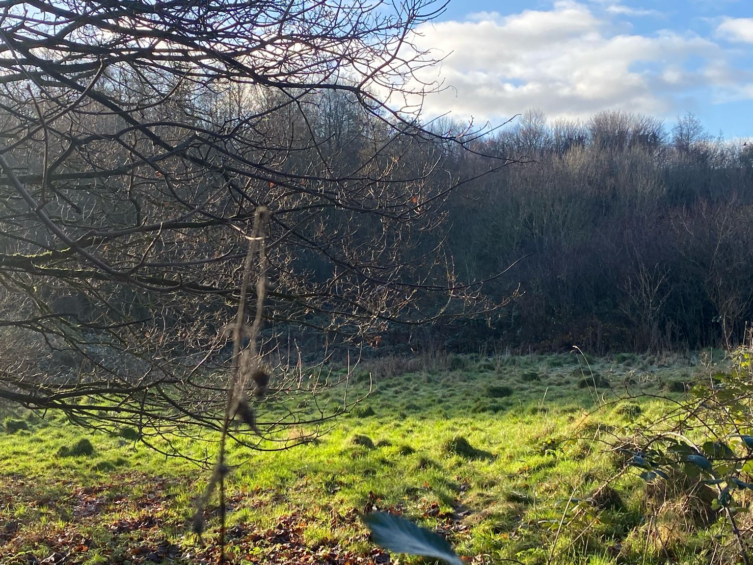 Imagine Property Developments Banbury LDS