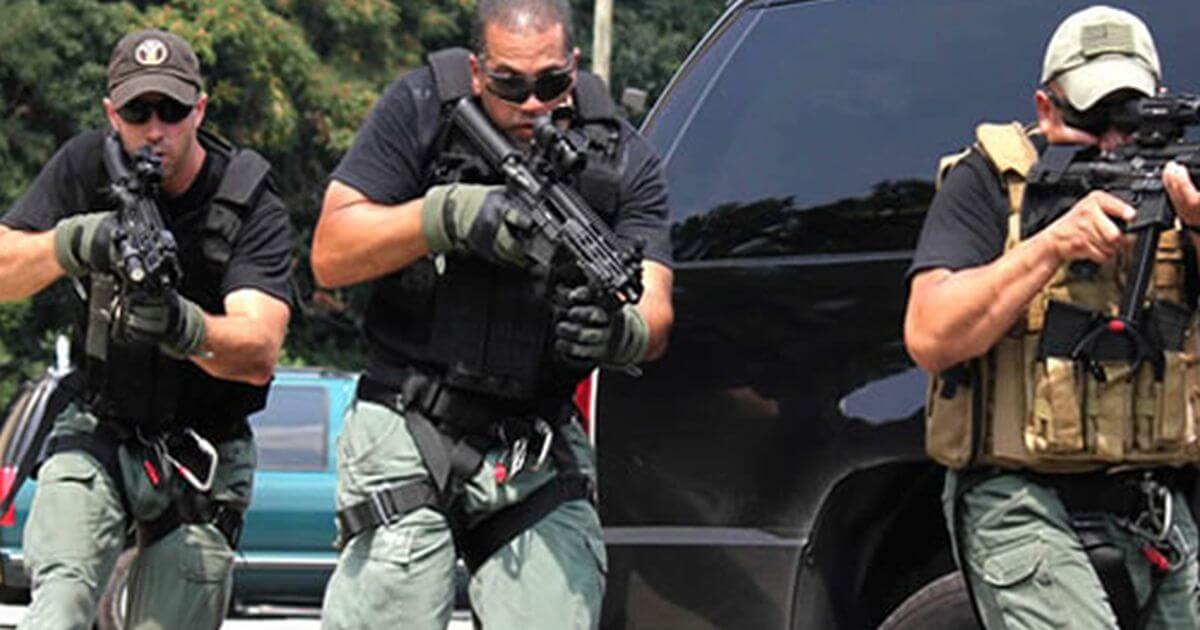 HIGH RISK PROTECTIVE SECURITY DETAIL LD Systems