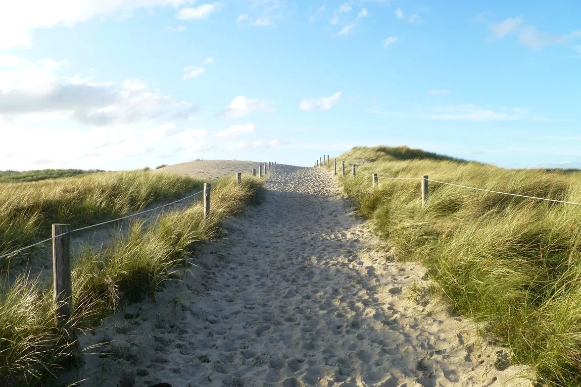 Vier Pfoten auf Texel