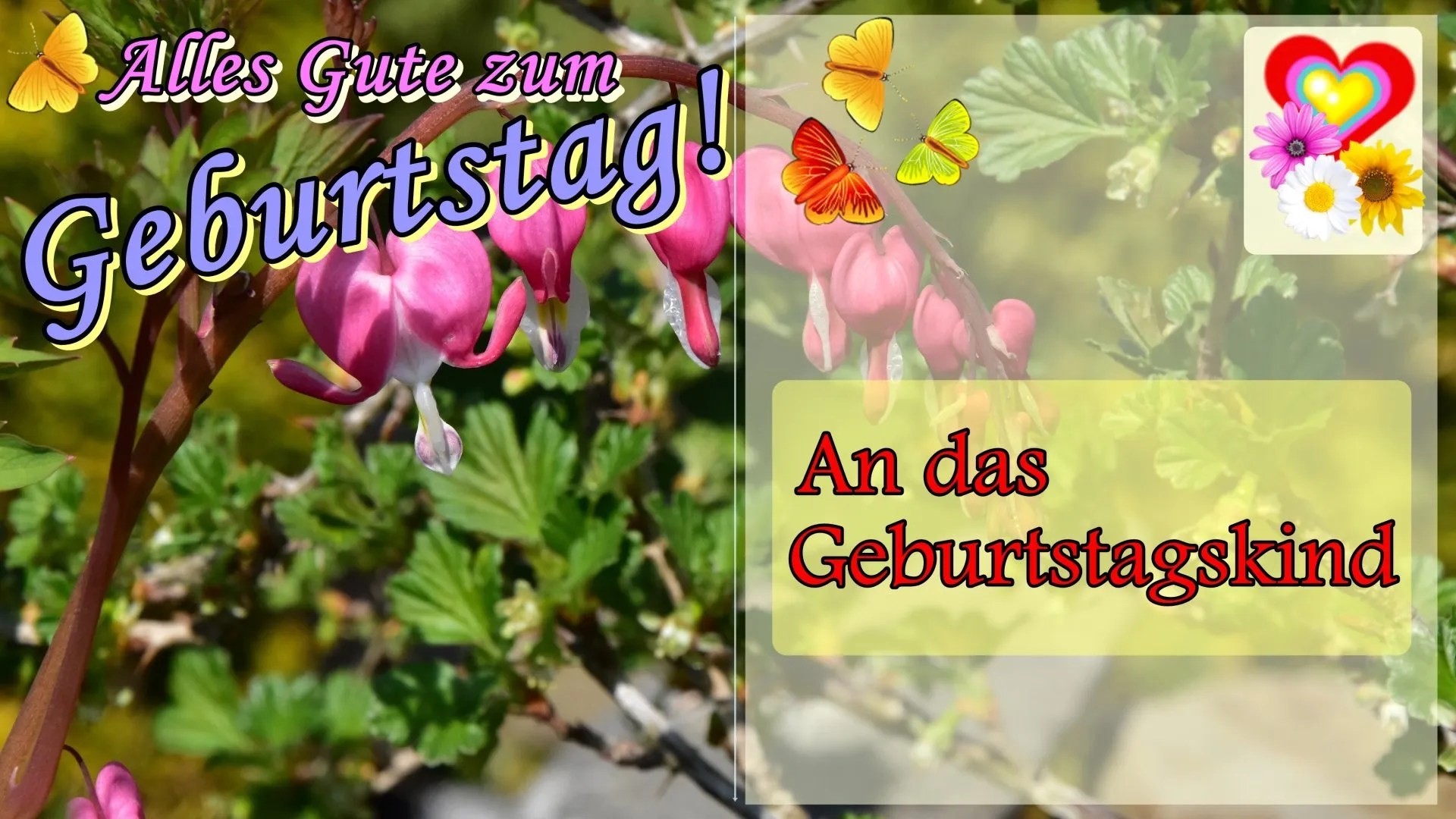 Geburtstagswünsche zum Geburtstag